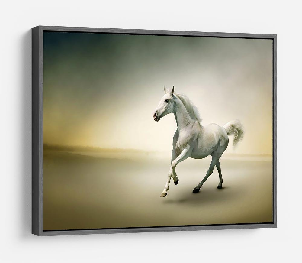 White horse in motion HD Metal Print - Canvas Art Rocks - 9