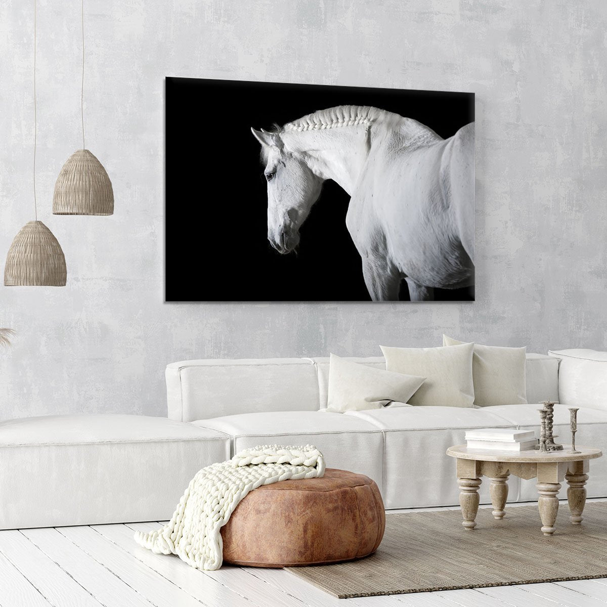 White horse on the black background Canvas Print or Poster