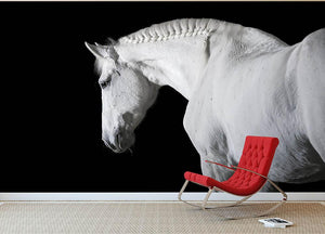 White horse on the black background Wall Mural Wallpaper - Canvas Art Rocks - 2