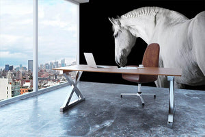 White horse on the black background Wall Mural Wallpaper - Canvas Art Rocks - 3