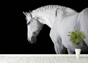 White horse on the black background Wall Mural Wallpaper - Canvas Art Rocks - 4