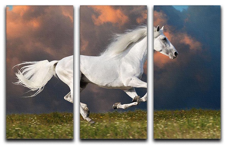 White horse runs gallop on the dark sky 3 Split Panel Canvas Print - Canvas Art Rocks - 1