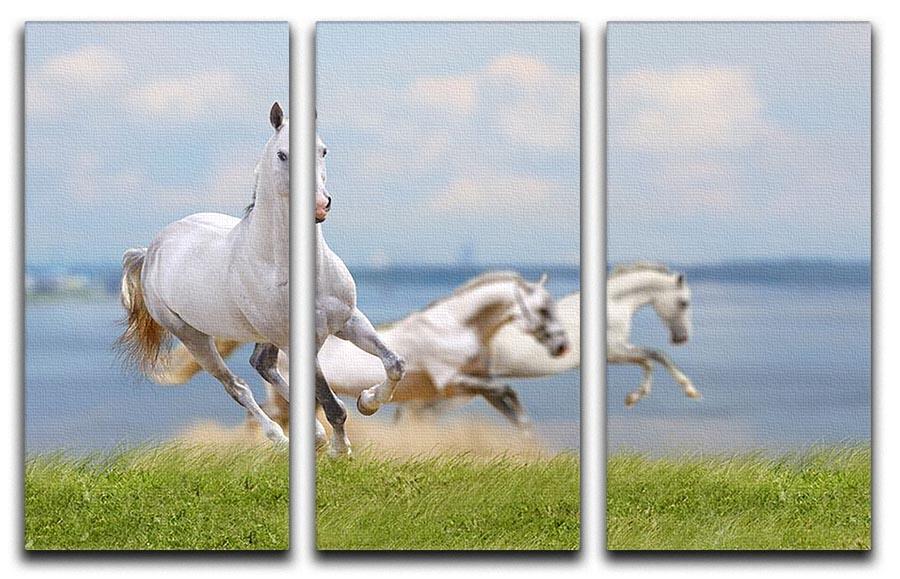 White horses running near water 3 Split Panel Canvas Print - Canvas Art Rocks - 1