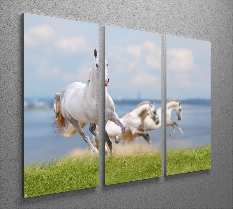 White horses running near water 3 Split Panel Canvas Print - Canvas Art Rocks - 2