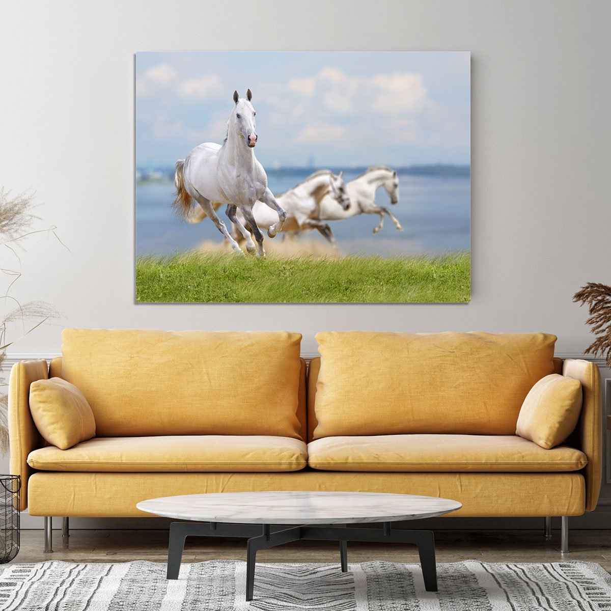 White horses running near water Canvas Print or Poster