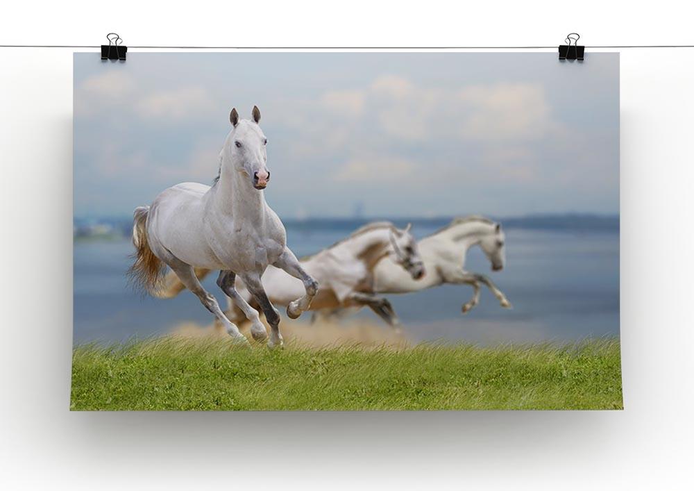 White horses running near water Canvas Print or Poster - Canvas Art Rocks - 2