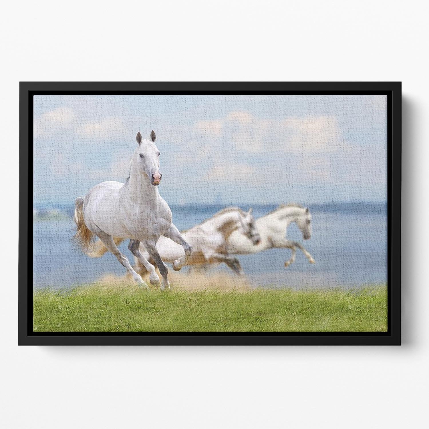 White horses running near water Floating Framed Canvas - Canvas Art Rocks - 2