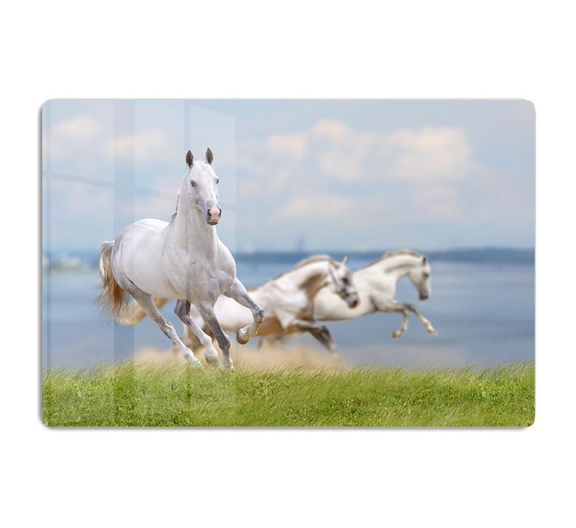 White horses running near water HD Metal Print - Canvas Art Rocks - 1