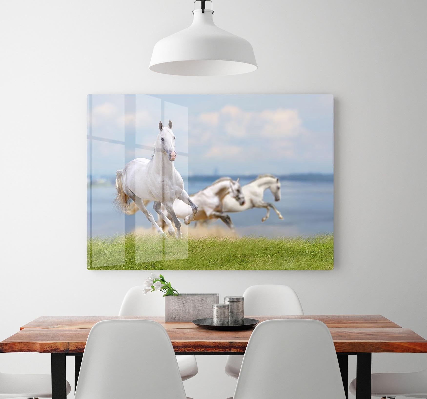 White horses running near water HD Metal Print - Canvas Art Rocks - 2