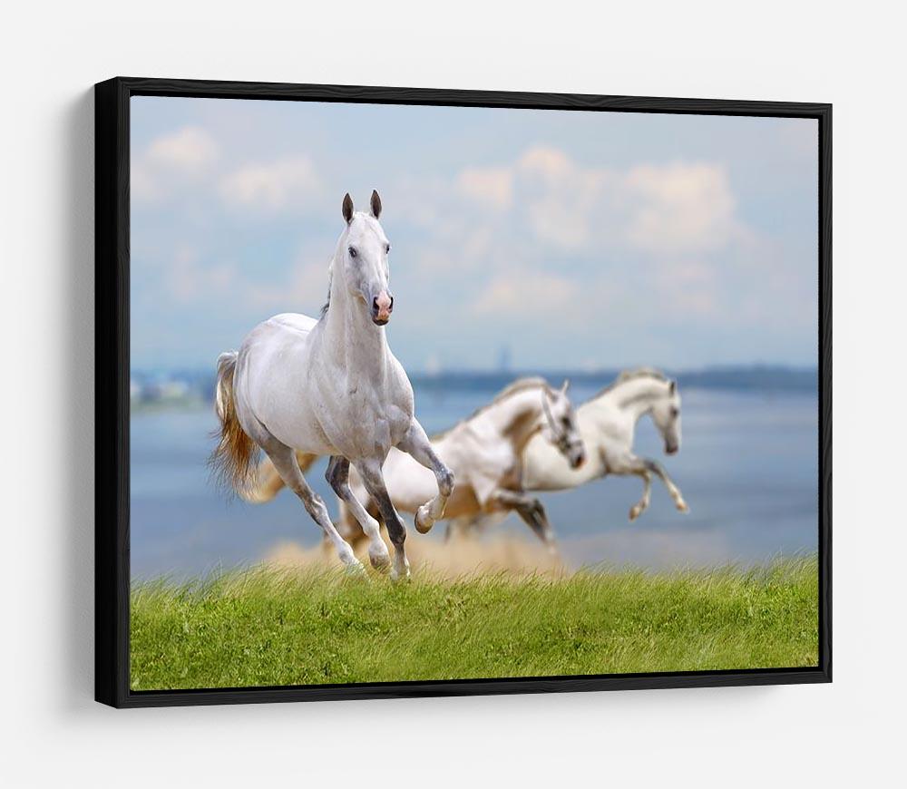 White horses running near water HD Metal Print - Canvas Art Rocks - 6