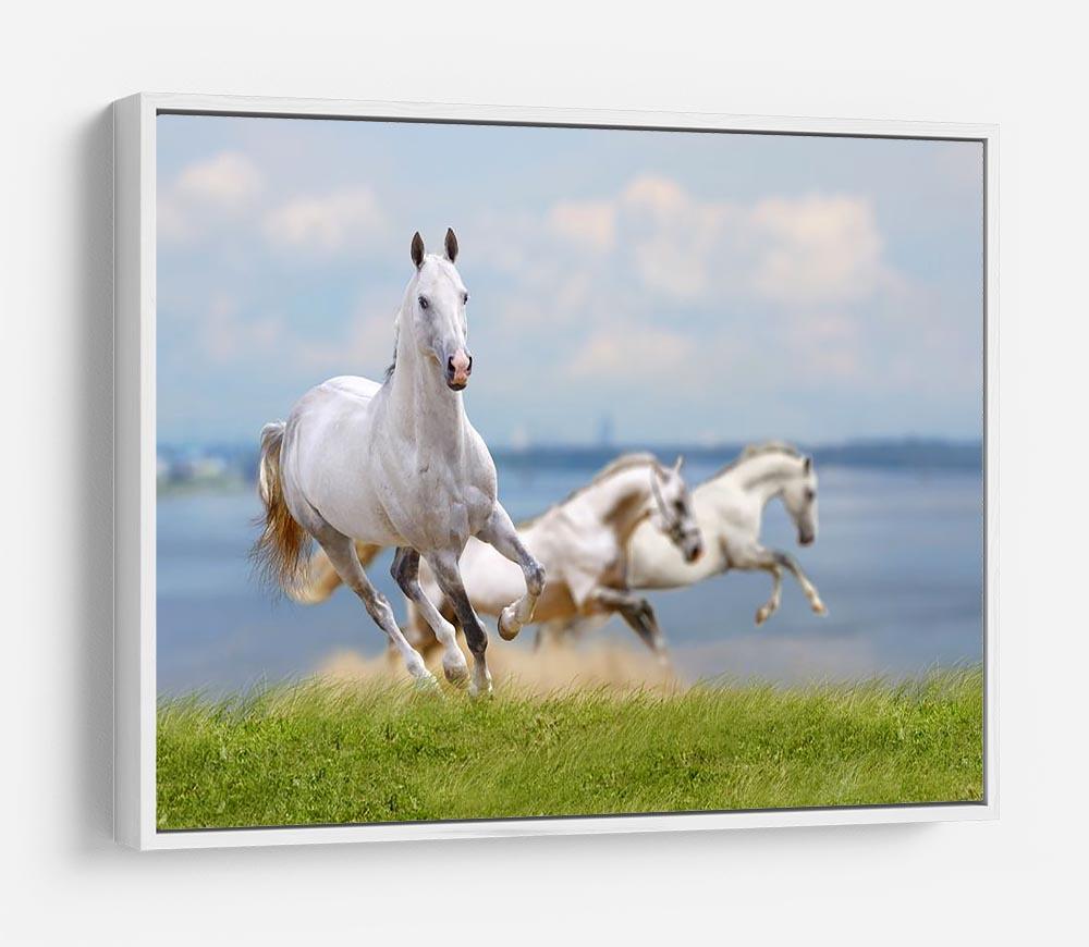 White horses running near water HD Metal Print - Canvas Art Rocks - 7