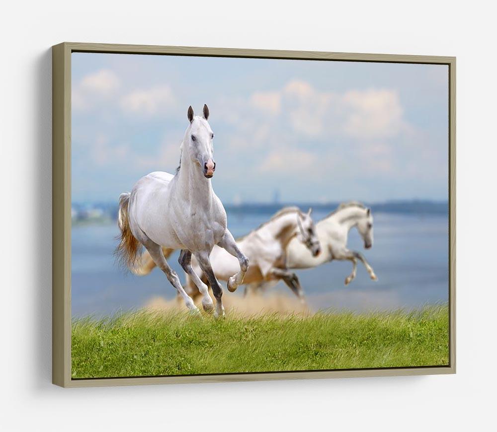 White horses running near water HD Metal Print - Canvas Art Rocks - 8
