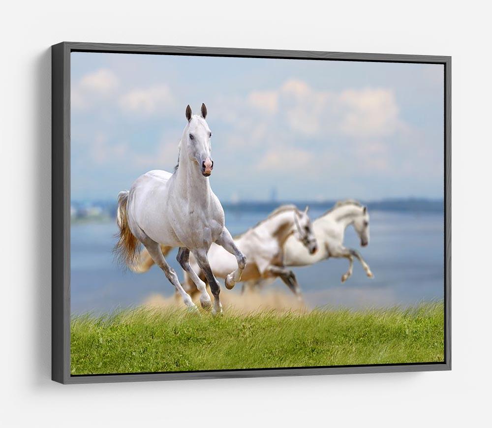 White horses running near water HD Metal Print - Canvas Art Rocks - 9