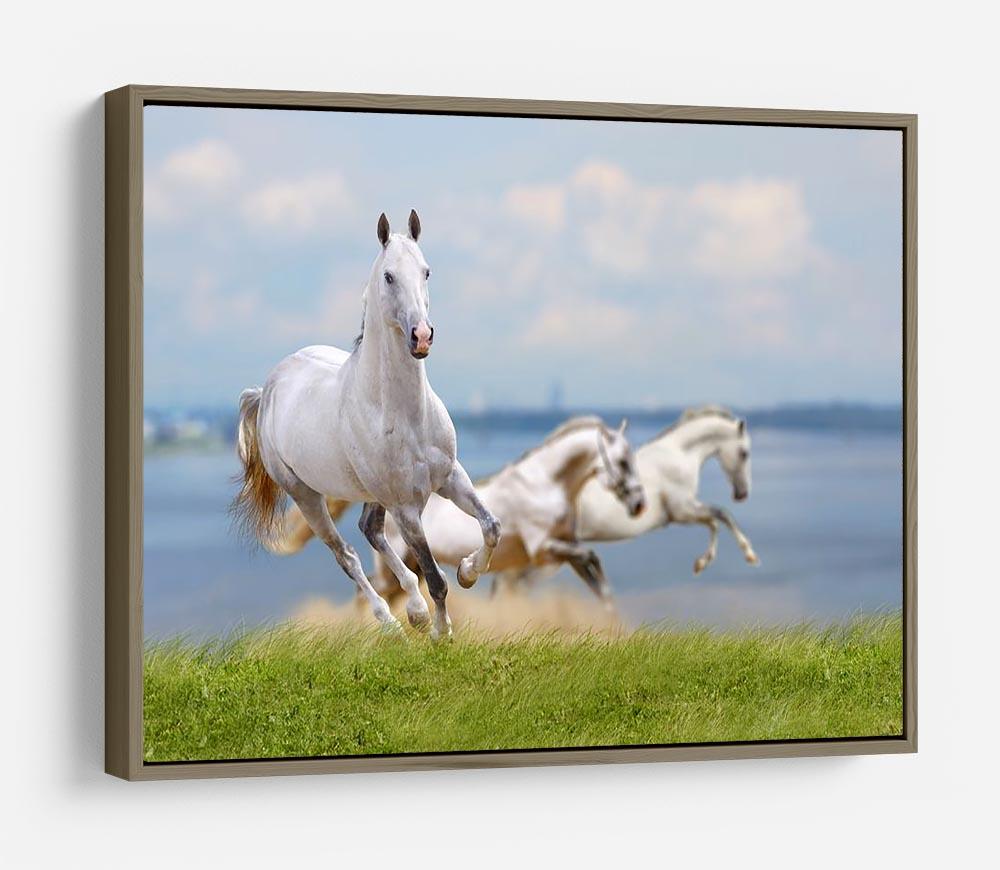 White horses running near water HD Metal Print - Canvas Art Rocks - 10