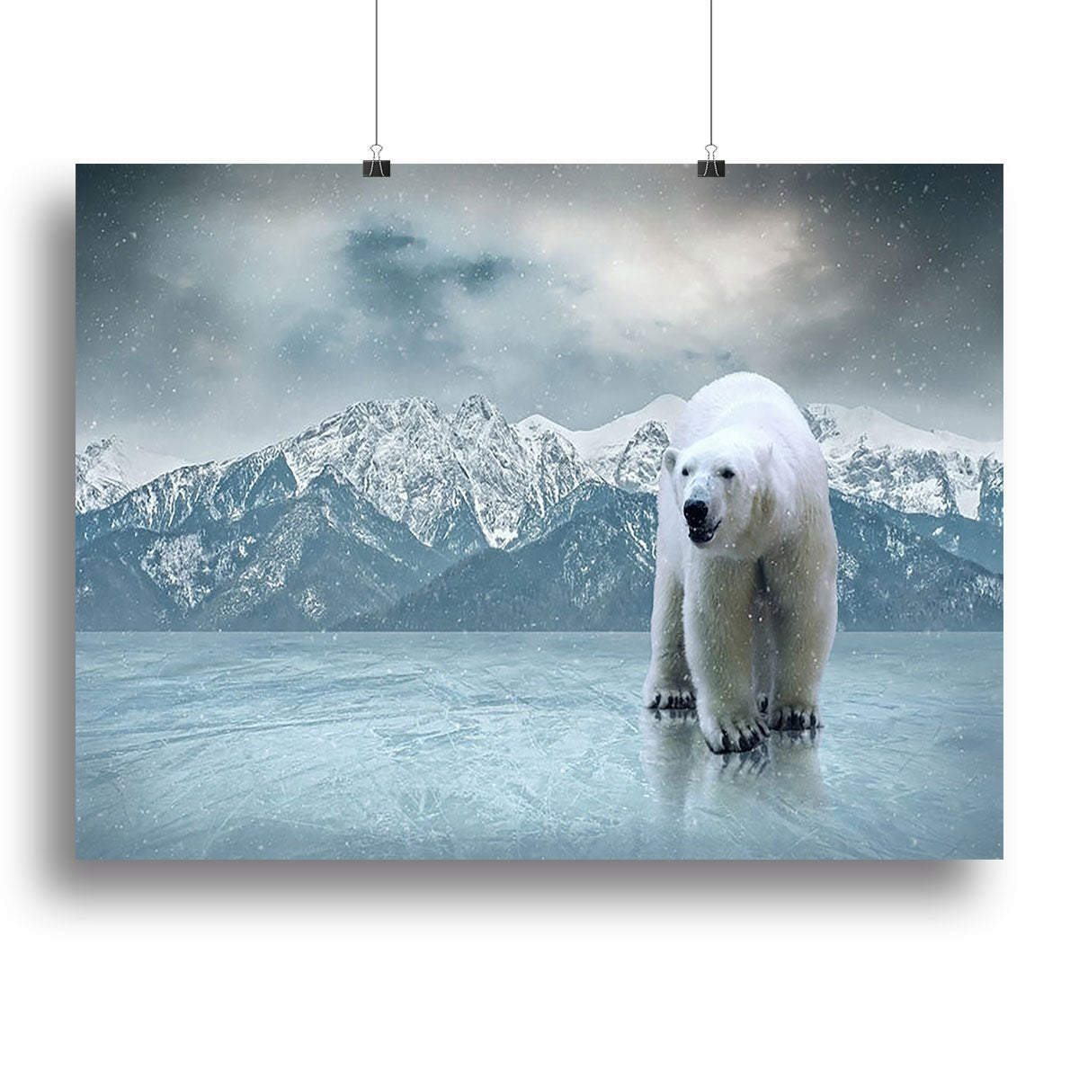 White polar bear on the ice Canvas Print or Poster