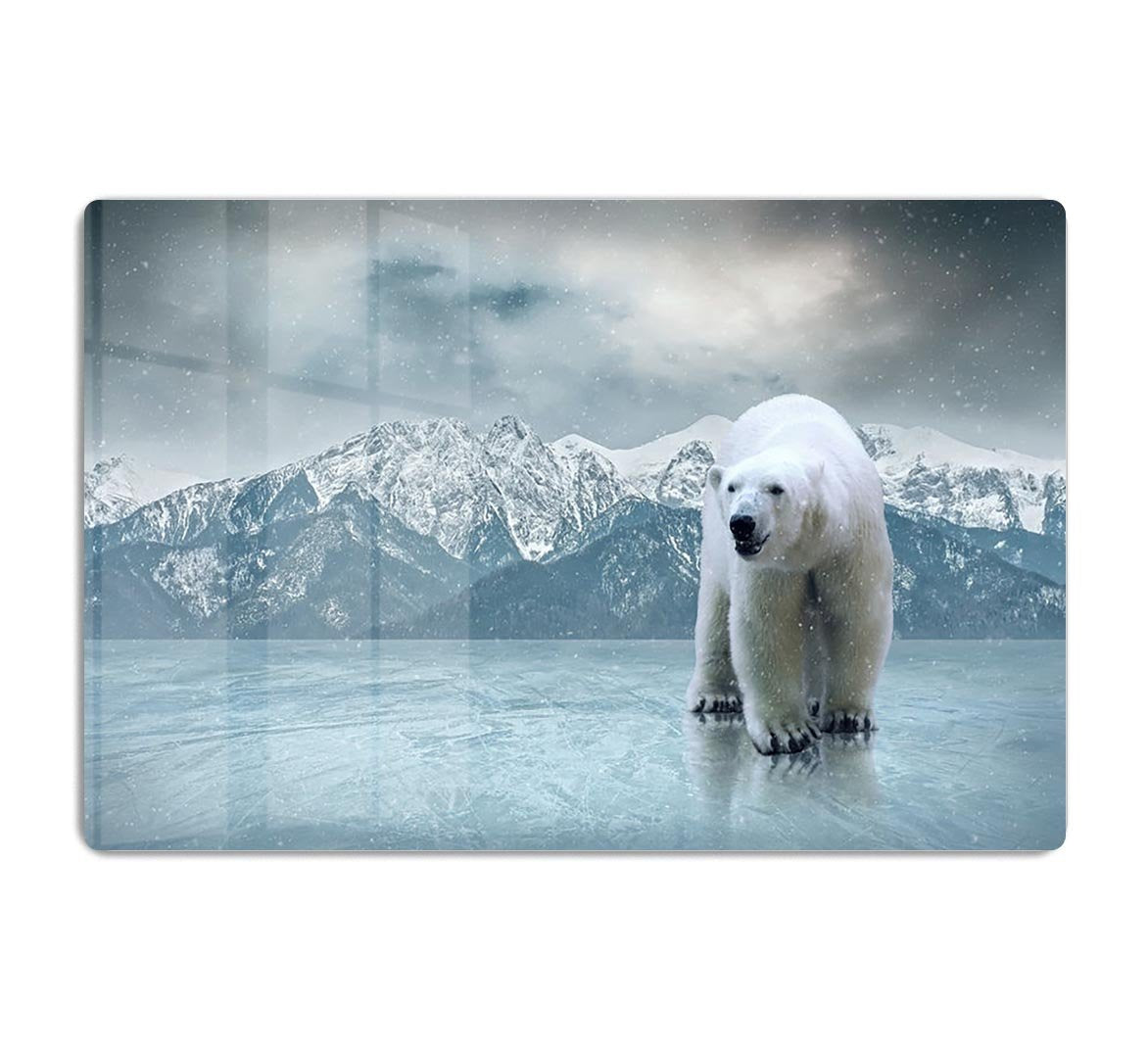 White polar bear on the ice HD Metal Print - Canvas Art Rocks - 1