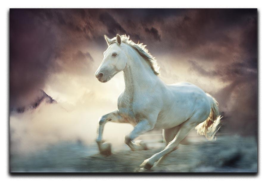 White running horse Canvas Print or Poster  - Canvas Art Rocks - 1