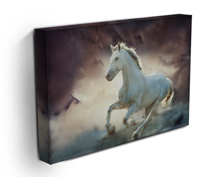 White running horse Canvas Print or Poster - Canvas Art Rocks - 3