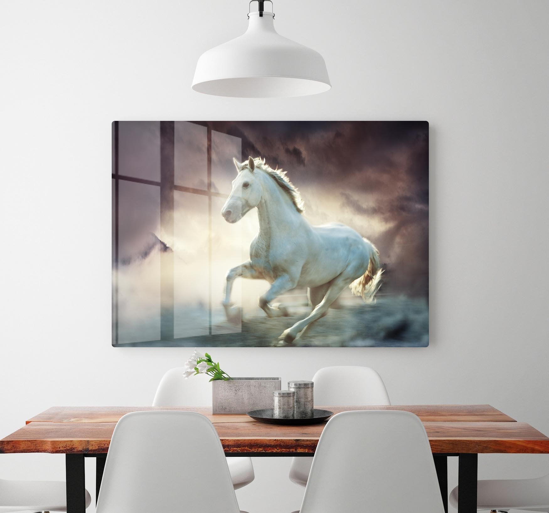 White running horse HD Metal Print