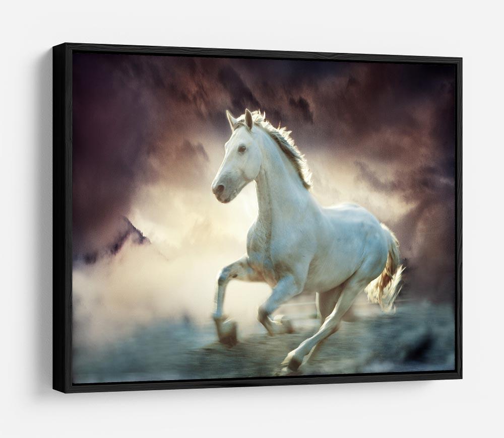 White running horse HD Metal Print