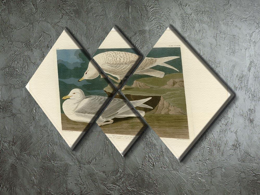 White winged silvery Gull by Audubon 4 Square Multi Panel Canvas - Canvas Art Rocks - 2