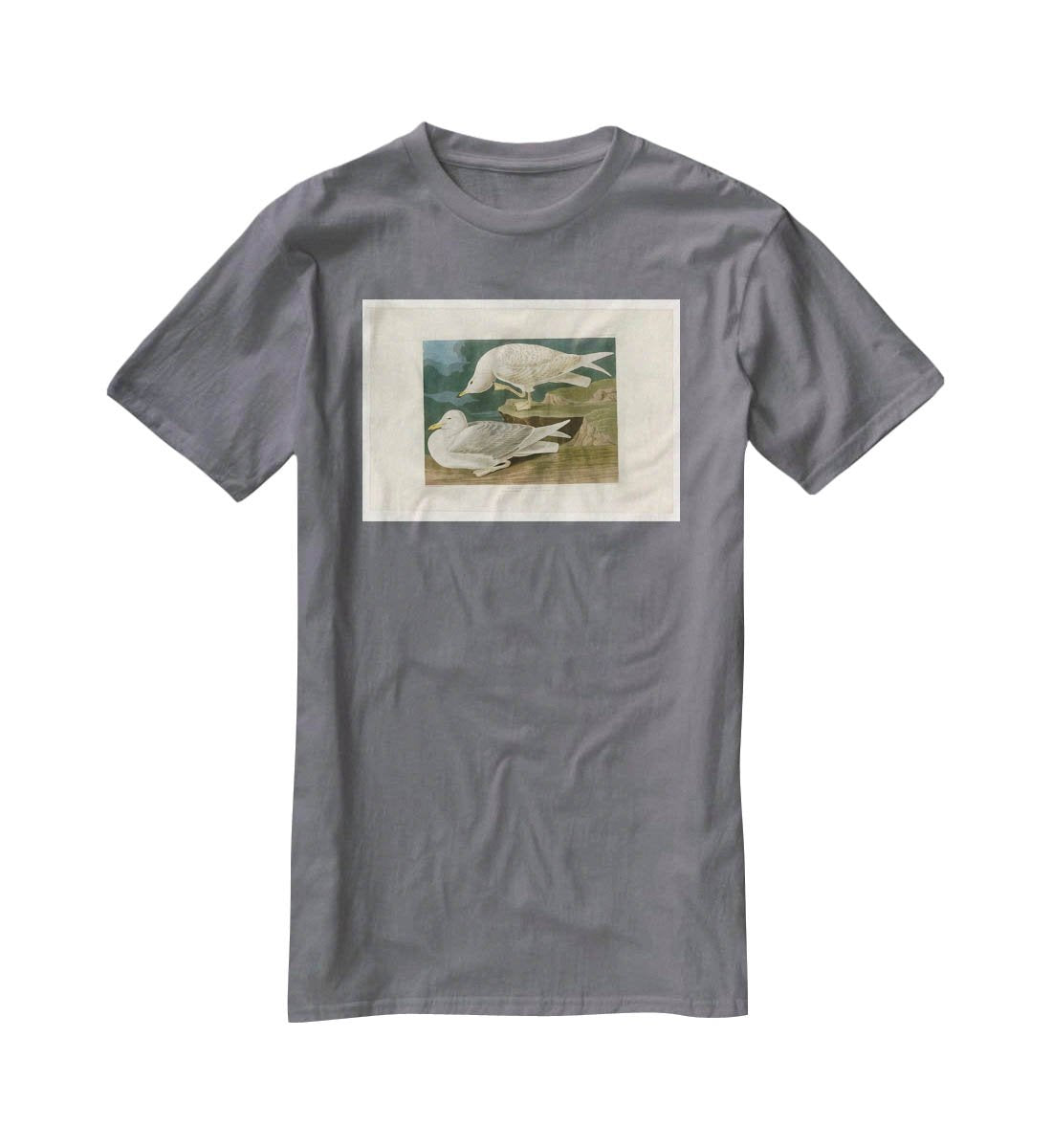 White winged silvery Gull by Audubon T-Shirt - Canvas Art Rocks - 3