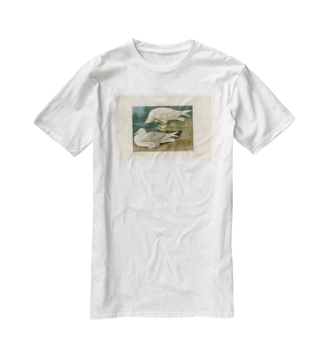 White winged silvery Gull by Audubon T-Shirt - Canvas Art Rocks - 5