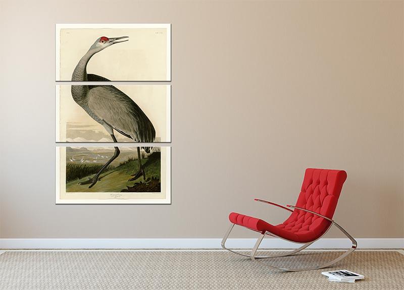 Whooping Crane by Audubon 3 Split Panel Canvas Print - Canvas Art Rocks - 2