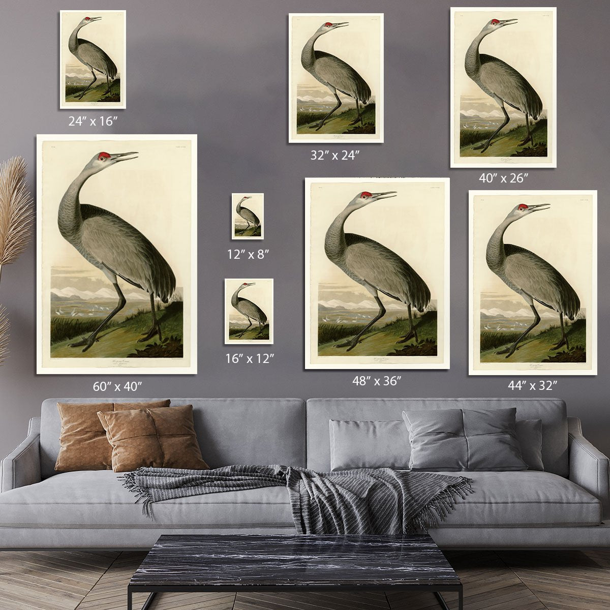 Whooping Crane by Audubon Canvas Print or Poster