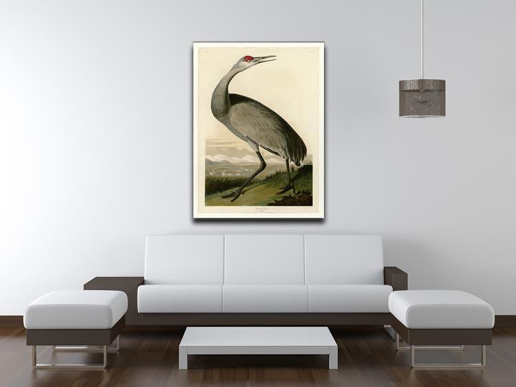 Whooping Crane by Audubon Canvas Print or Poster - Canvas Art Rocks - 4
