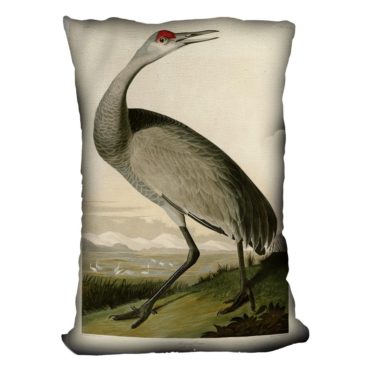Whooping Crane by Audubon Cushion
