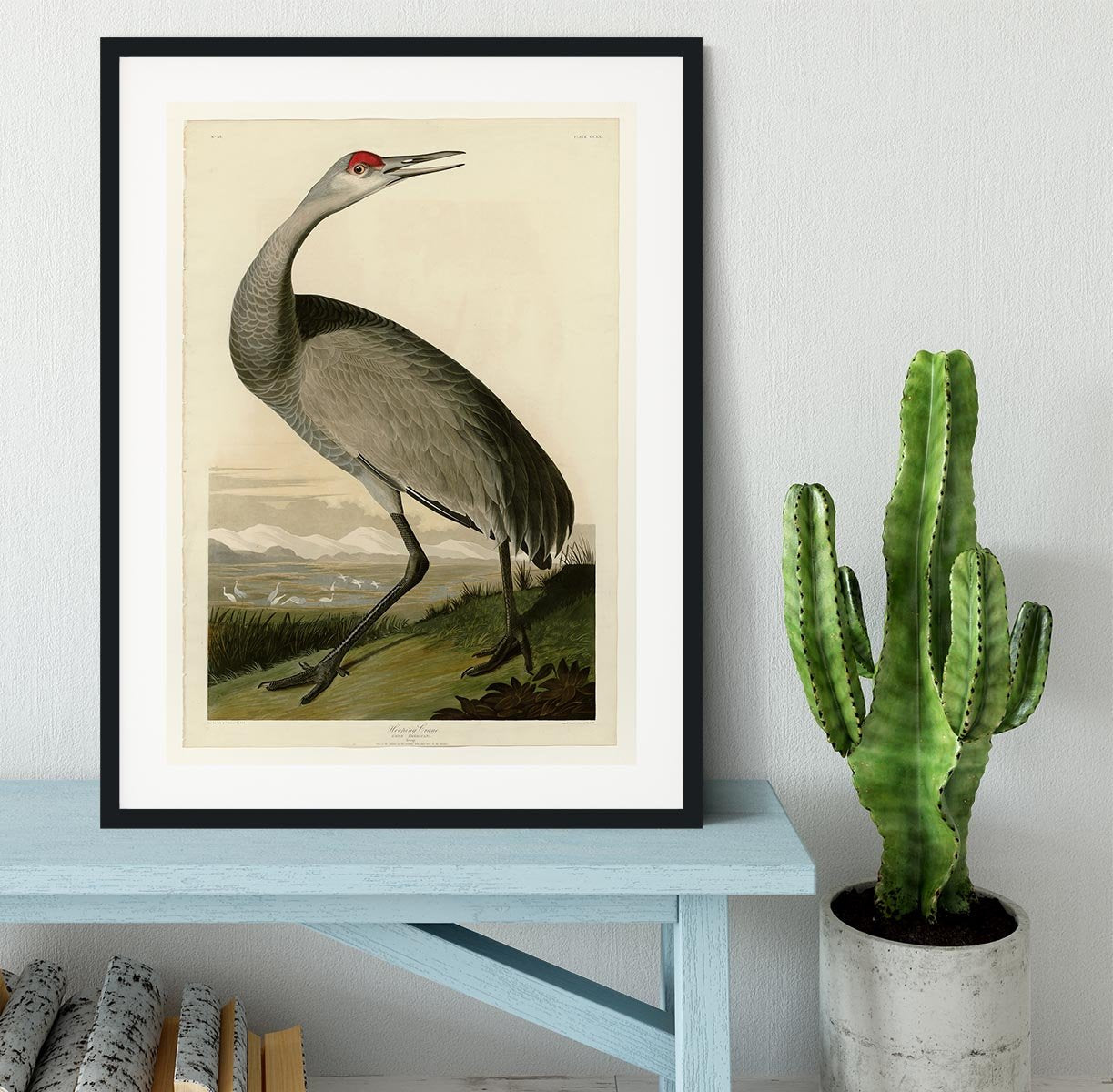 Whooping Crane by Audubon Framed Print - Canvas Art Rocks - 1