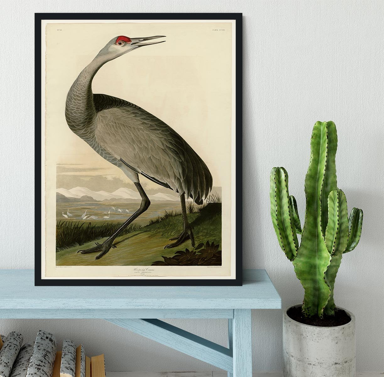 Whooping Crane by Audubon Framed Print - Canvas Art Rocks - 2