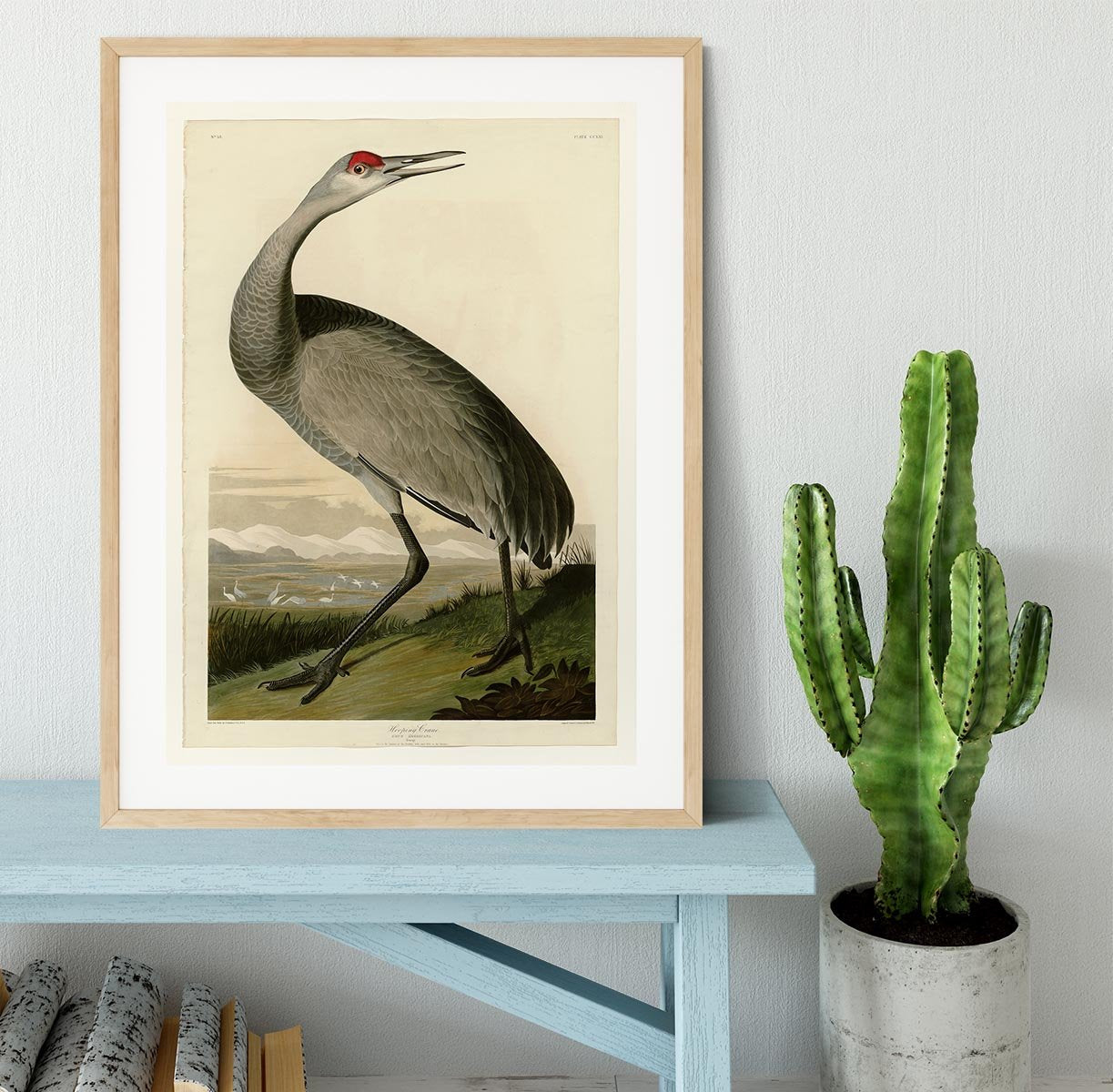 Whooping Crane by Audubon Framed Print - Canvas Art Rocks - 3