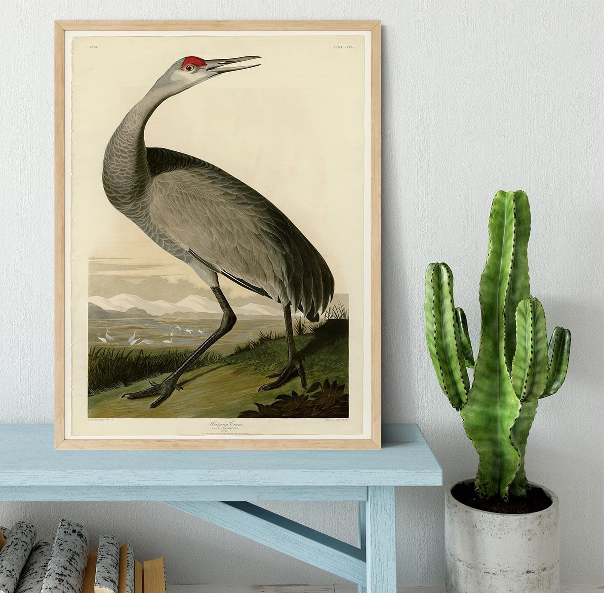 Whooping Crane by Audubon Framed Print - Canvas Art Rocks - 4