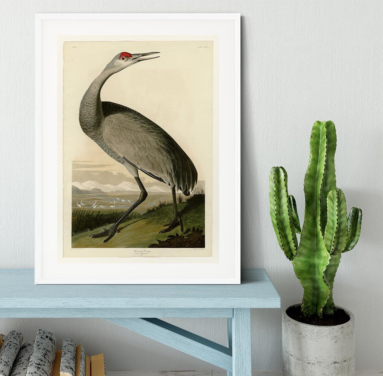 Whooping Crane by Audubon Framed Print - Canvas Art Rocks - 5