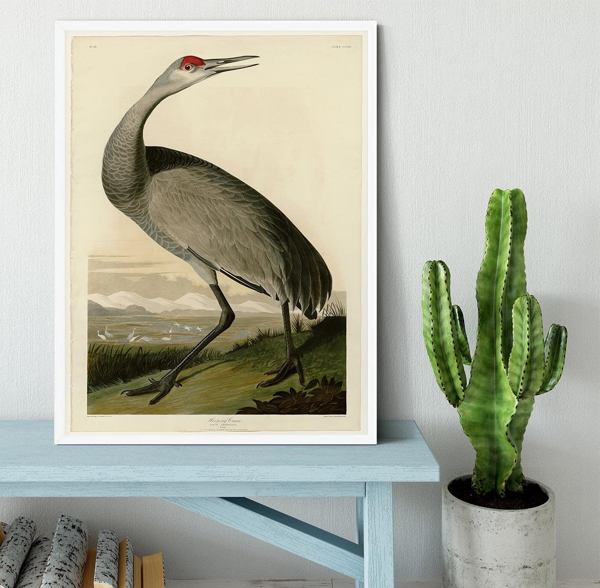 Whooping Crane by Audubon Framed Print - Canvas Art Rocks -6