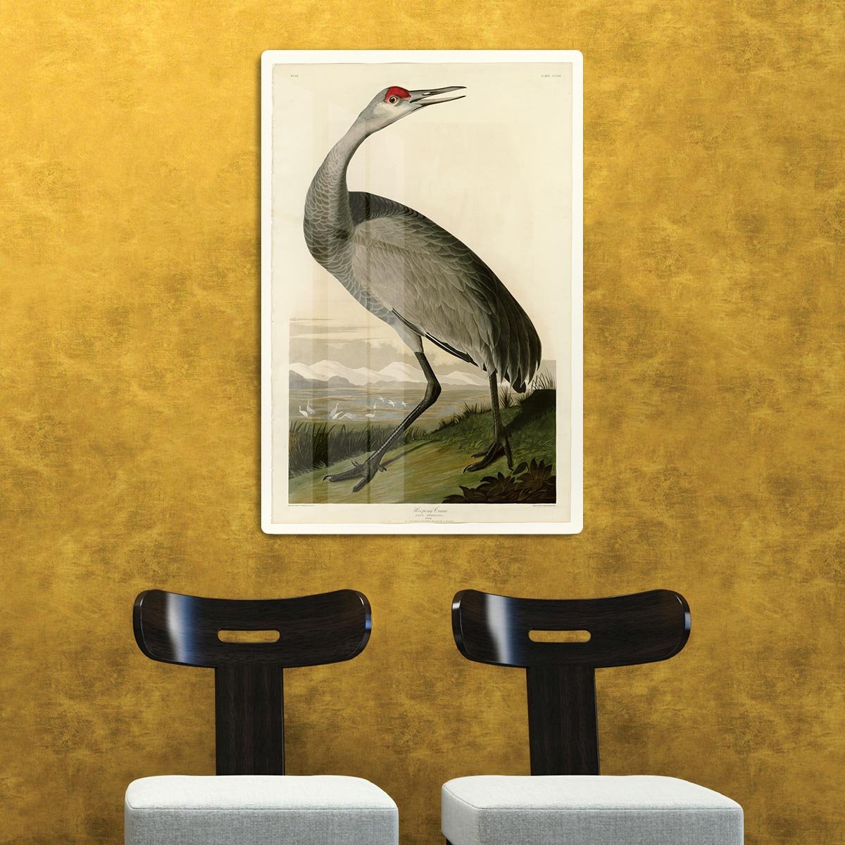 Whooping Crane by Audubon HD Metal Print - Canvas Art Rocks - 2