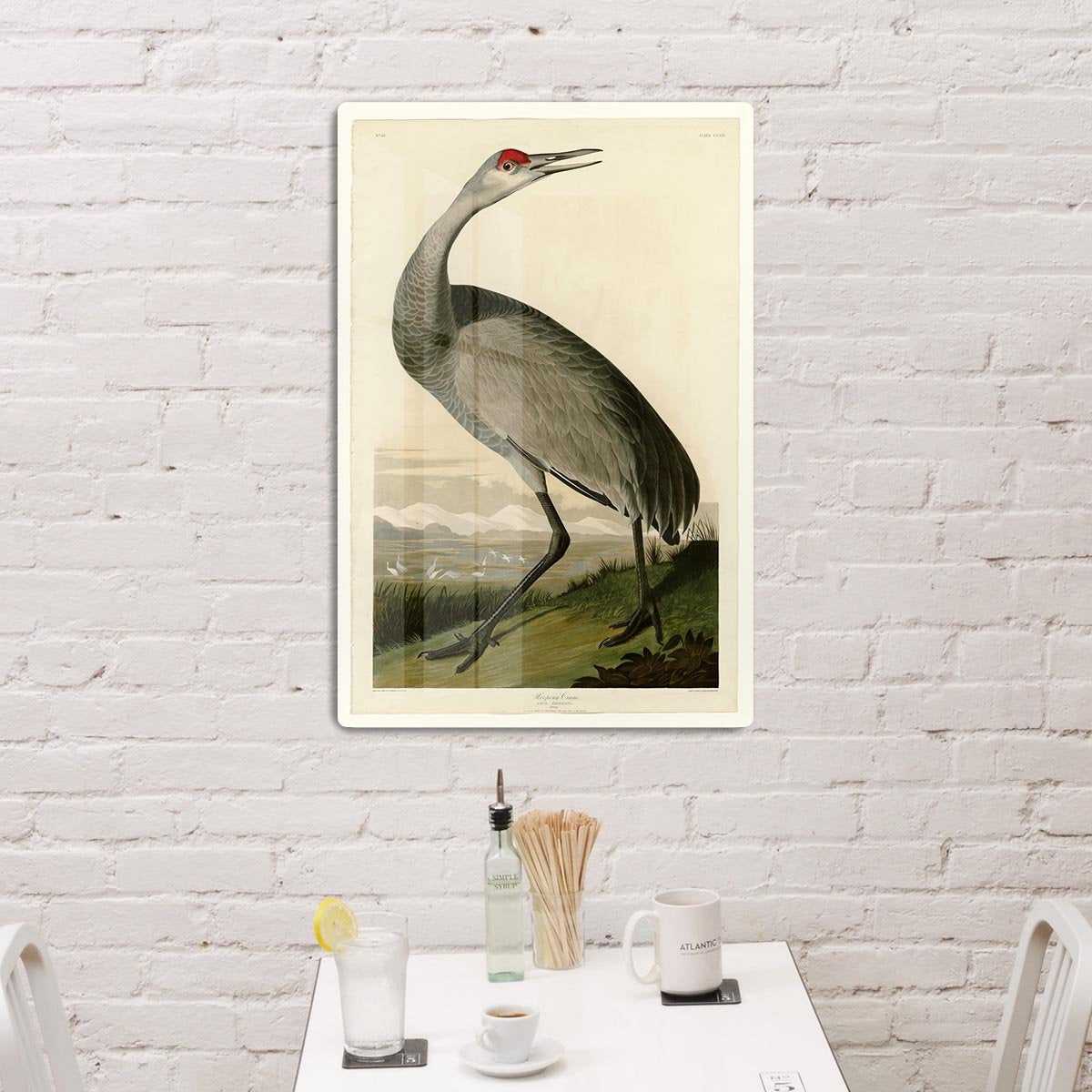 Whooping Crane by Audubon HD Metal Print - Canvas Art Rocks - 3