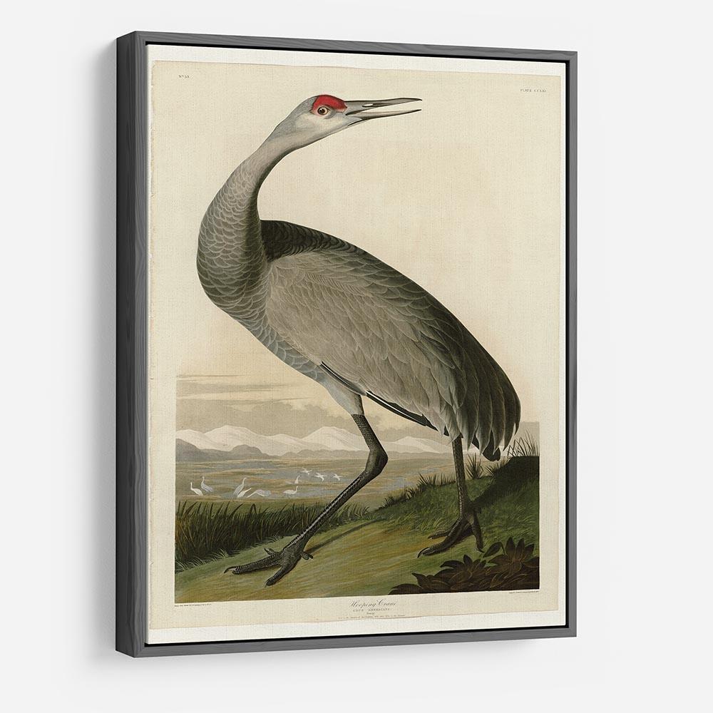 Whooping Crane by Audubon HD Metal Print - Canvas Art Rocks - 9