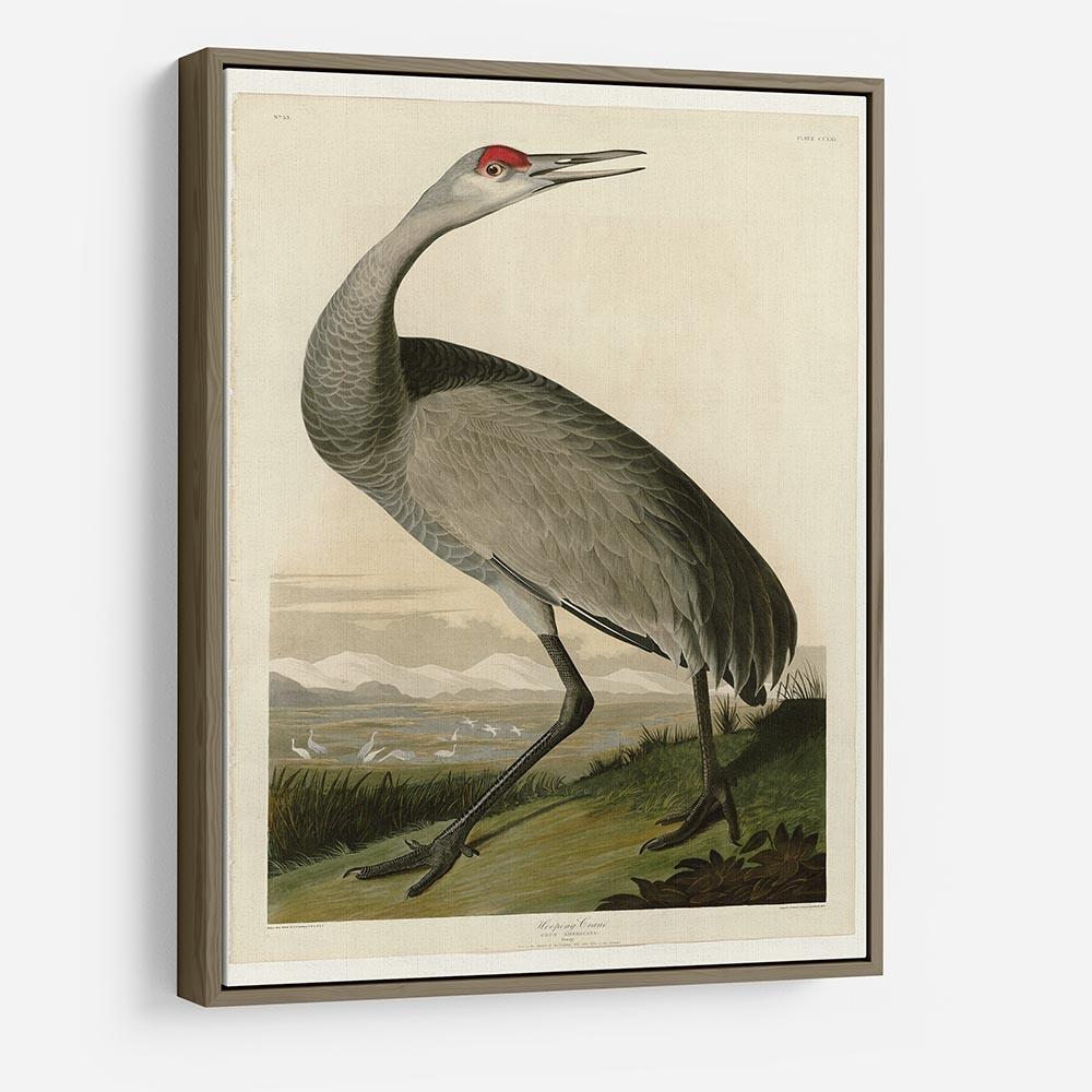 Whooping Crane by Audubon HD Metal Print - Canvas Art Rocks - 10