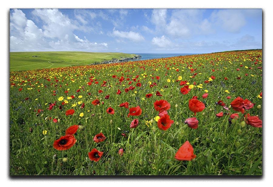 Wild Flower Meadow Canvas Print or Poster - Canvas Art Rocks - 1