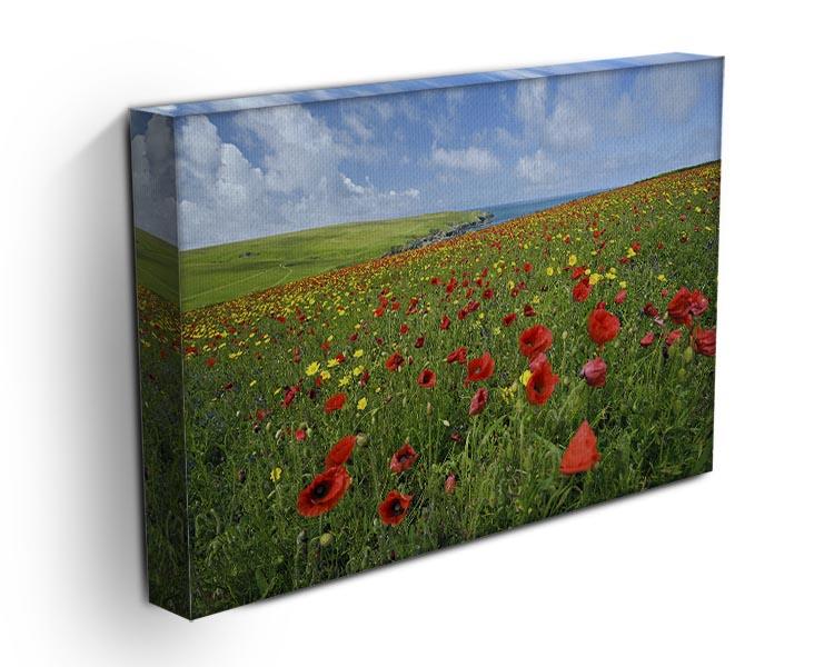 Wild Flower Meadow Canvas Print or Poster - Canvas Art Rocks - 3