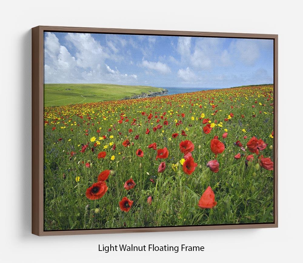 Wild Flower Meadow Floating Frame Canvas - Canvas Art Rocks 7