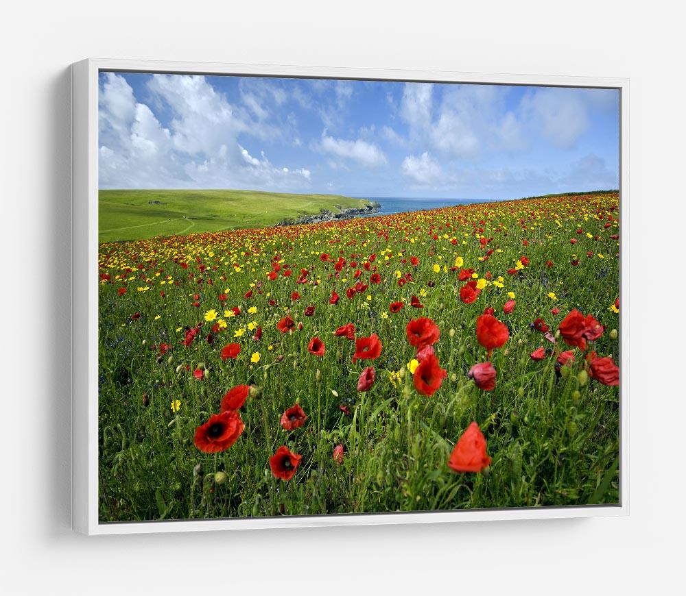 Wild Flower Meadow HD Metal Print - Canvas Art Rocks - 7