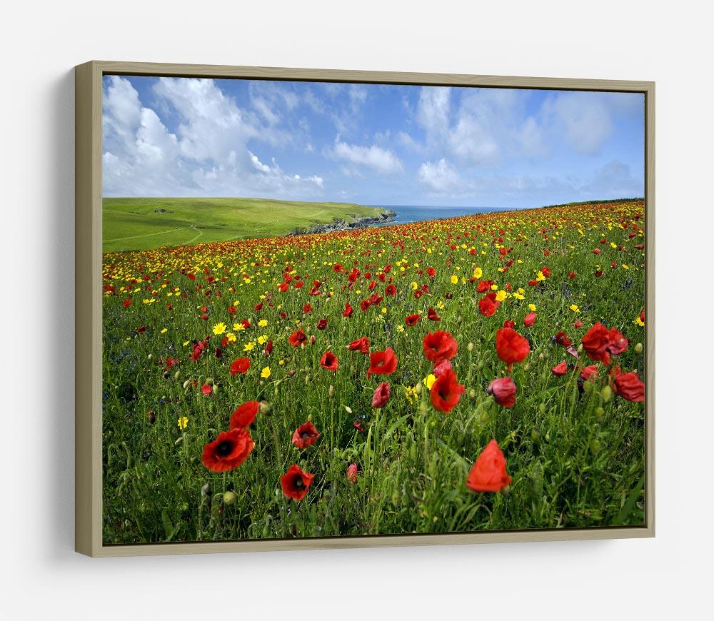 Wild Flower Meadow HD Metal Print - Canvas Art Rocks - 8