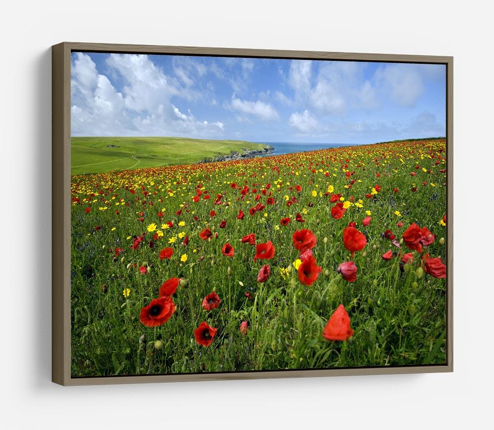 Wild Flower Meadow HD Metal Print - Canvas Art Rocks - 10