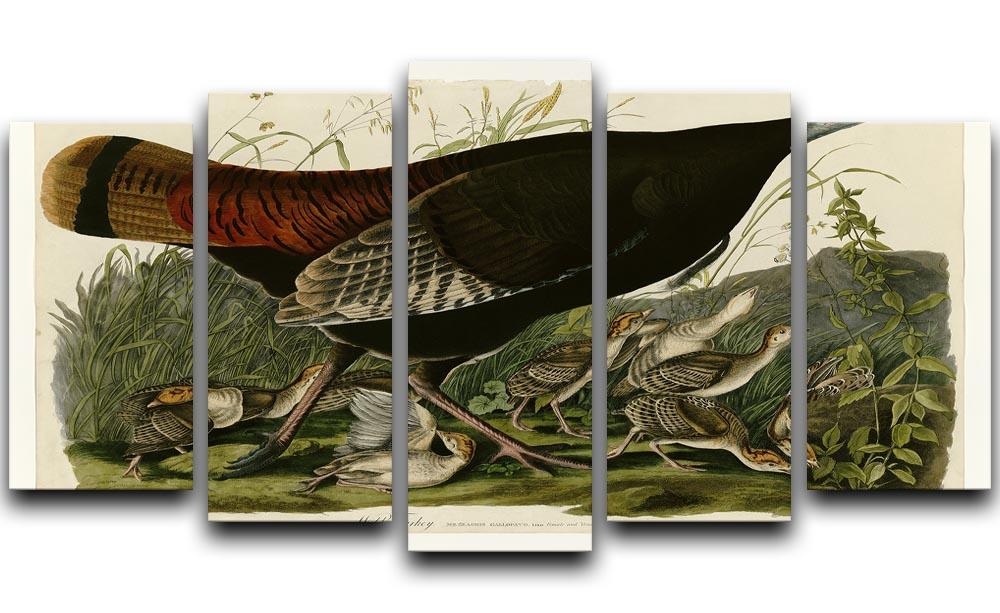 Wild Turkey 2 by Audubon 5 Split Panel Canvas - Canvas Art Rocks - 1