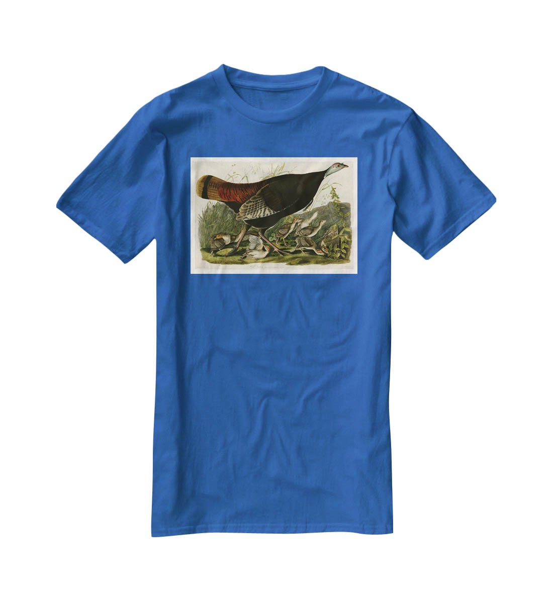 Wild Turkey 2 by Audubon T-Shirt - Canvas Art Rocks - 2