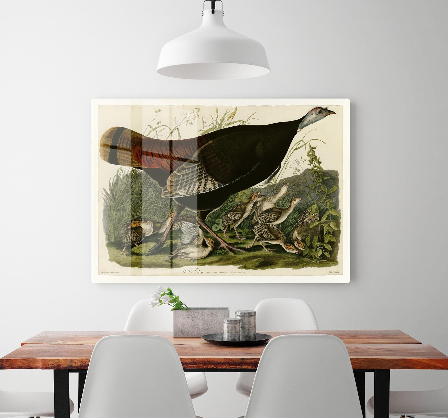 Wild Turkey 2 by Audubon HD Metal Print - Canvas Art Rocks - 2
